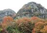 耶馬渓の紅葉 耶馬渓の紅葉