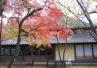 湯布院の紅葉 湯布院の紅葉