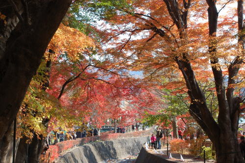 2011-11-23-2.jpg 2011-11-23-2.jpg