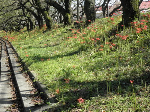 2011-9-22-2.jpg 2011-9-22-2.jpg
