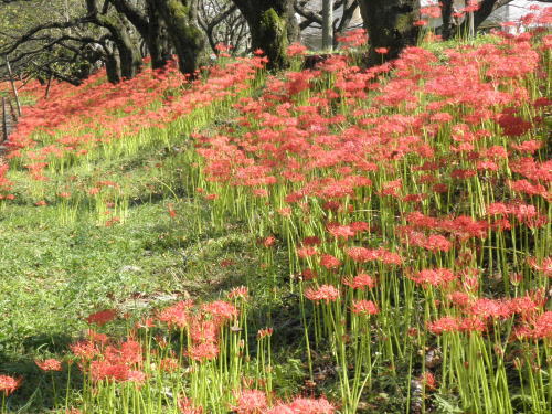 2011-9-28.jpg 2011-9-28.jpg