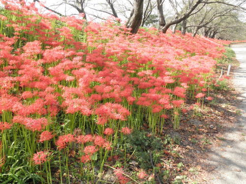 2011-9-30.jpg 2011-9-30.jpg