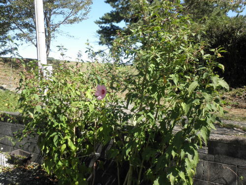 201109-22-1.jpg 201109-22-1.jpg