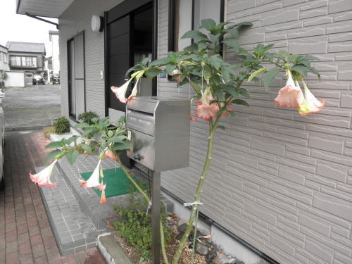 2012-10-30-2.jpg 2012-10-30-2.jpg