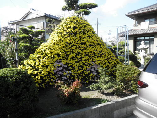 2012-11-14-2.jpg 2012-11-14-2.jpg