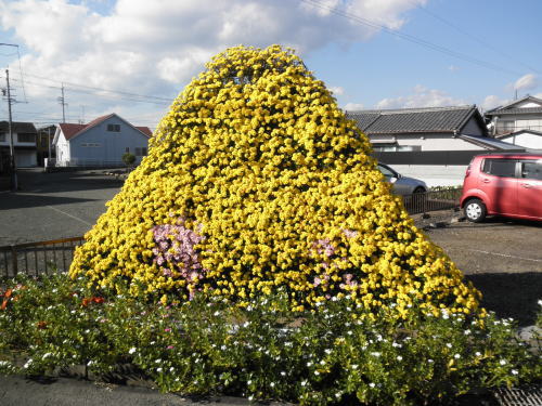 2012-11-14-3.jpg 2012-11-14-3.jpg