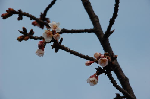 2012-2-5-6.jpg 2012-2-5-6.jpg