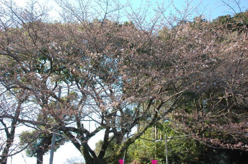 2012-3-16-1.jpg 2012-3-16-1.jpg