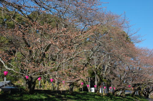 2012-3-26-2.jpg 2012-3-26-2.jpg