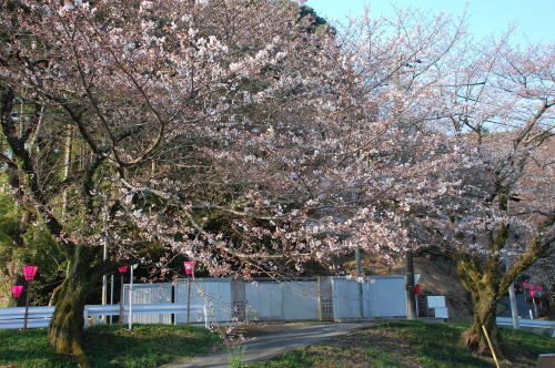 2012-3-28-1.jpg 2012-3-28-1.jpg