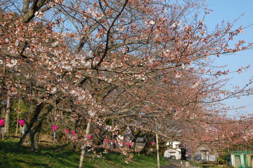 2012-3-28-2.jpg 2012-3-28-2.jpg