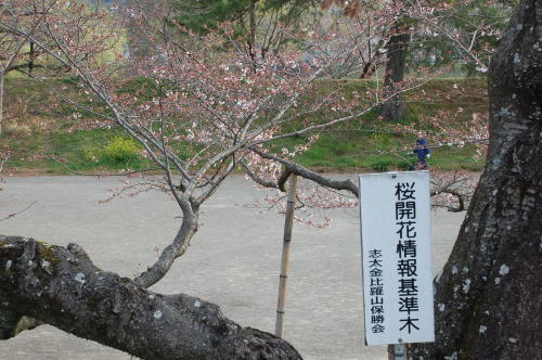 2012-3-30-2.jpg 2012-3-30-2.jpg