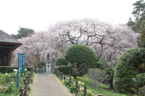 2012-4-17-2.jpg 2012-4-17-2.jpg